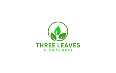 three leaves modern creative logo design