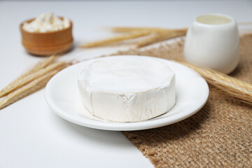 Concept of tasty food - different dairy products