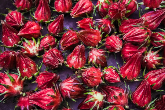 Textures of Red Roselle fruit and flower (Jamaica sorrel, Rozelle or hibiscus sabdariffa). Concept for Herbal drinks, Alternative medicine, Farming, Home Industry, Healthy food, and Relaxation.