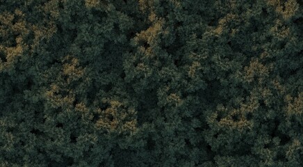trees in the forest, top view, area view,  3D illustration, cg render