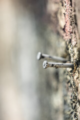 On the cement wall, there are a pair of rusty nails that appear to have been in place for quite some time, their brownish-orange color standing out against the gray backdrop.