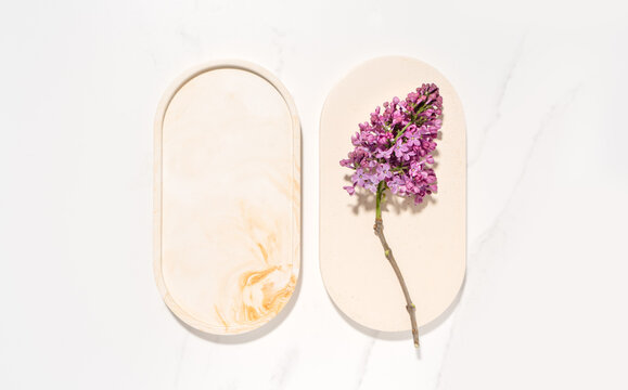 Flat lay cosmetics skin care product presentation scene and display with copy space made with oval trays and blossom flowers lilac branch. Studio photography.