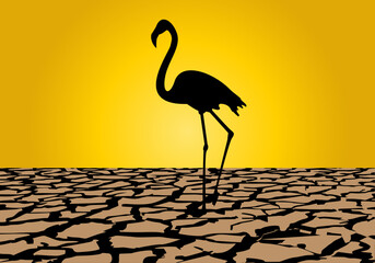 Sequía. Silueta negra de flamenco sobre tierra agrietada y sol de fondo. Crisis climática. Cambio climático. Ola de calor. Desastre natural - obrazy, fototapety, plakaty