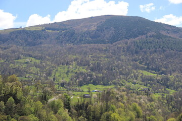 ¨Pyrénées - France