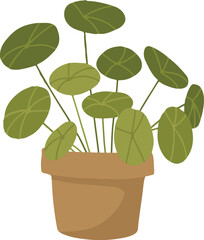 plant in a pot. Plant in pot icon vector illustration graphic design 