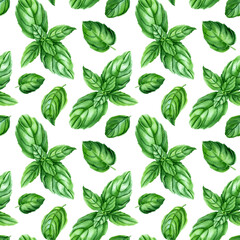 Watercolor seamless pattern with basil herb. Botanical illustration isolated on white for wrapping, wallpaper, fabric