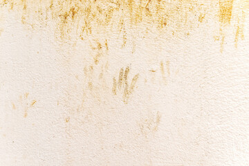 Cat footprints on cream paint concrete wall.  Dirty old cement wall with cat paw print stain.   