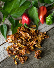 Dried Red Naga Viper peppers with fresh spices and green leaves on gray wooden surface. Hot red pepper Mexican. Spices, condiments. Gray wooden background. Top view. Copy space. Soft focus. 