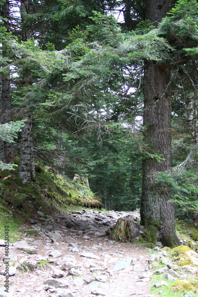 Poster ¨pyrénées - france