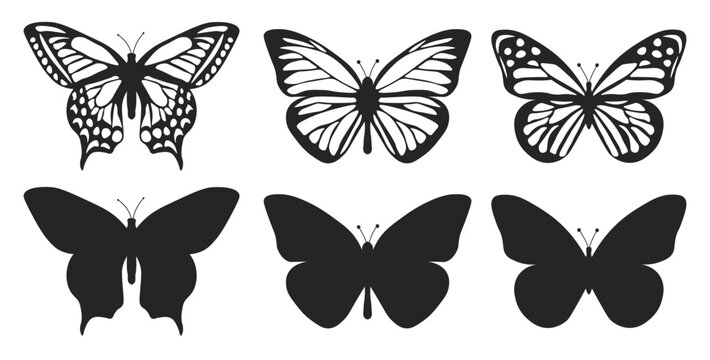 collection of butterflies set of butterflies silhouettes Flying Vector illustration