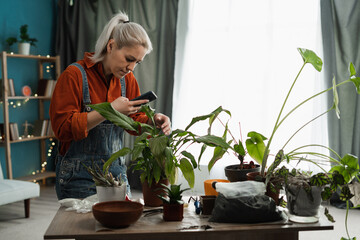 Young woman florist blogger photographs a home plant on a mobile phone camera, recording video for her blog. Home plant breeding, gardening, working online social media influencer