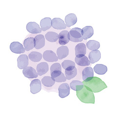 水彩風の紫の紫陽花