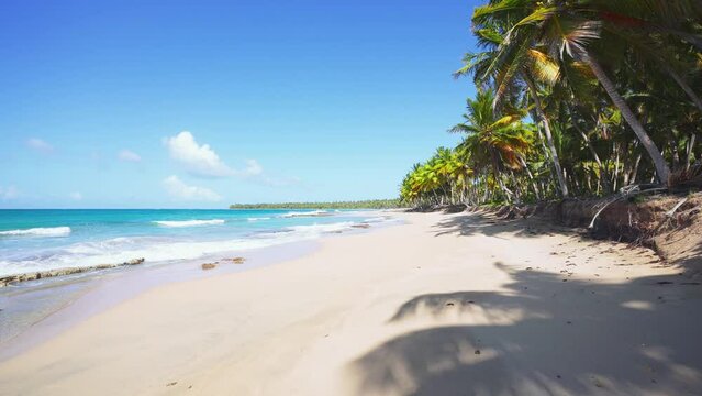 Bright coconut trees on a wild untouched Mexican beach over turquoise sea and white big waves. Tropical island in the Atlantic Ocean. Summer travel concept background. Copy space. Nobody.
