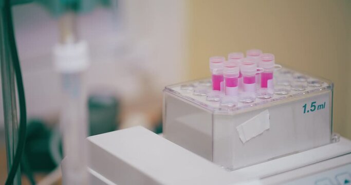 Scientist is conducting cancer research in laboratory.