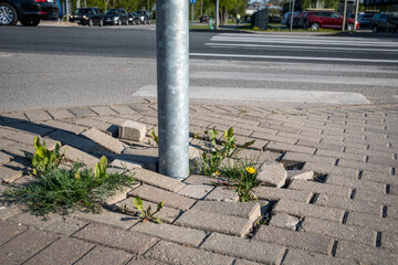 Damaged pavement on the pedestrian sidewalk. Highway and cars - obrazy, fototapety, plakaty