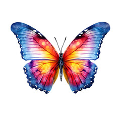 Obraz na płótnie Canvas Beautiful butterfly with red, blue and orange colors isolated