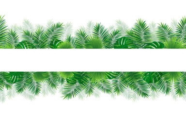 Amazon tropical leaves seamless pattern with place for text. vector illustration. Rainforest foliage template border frame. Jungle plants repeated banner. Green backdrop with tropic palm leaf monstera © nataliesezam