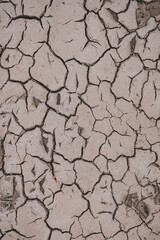 dry ground in the nature, global warming, climate change