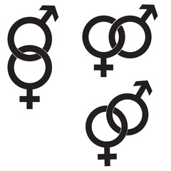 gender symbol, hold and isolated on white background