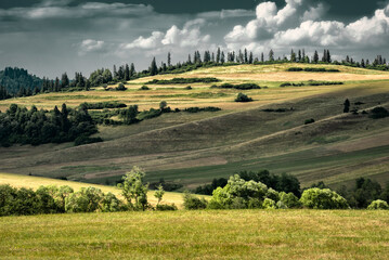 Fototapeta premium landscape in region