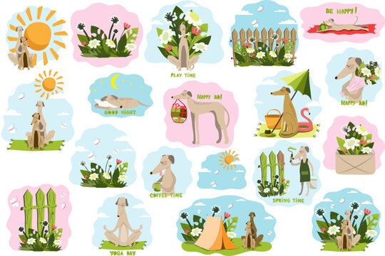 A set of pictures with a Greyhound. Dogs and nature, yoga, coffee, camping, birthday, games. Stickers, clipart