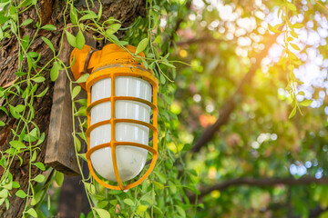 The lantern lamp light on a wooden tree post in the garden with a green foliage background