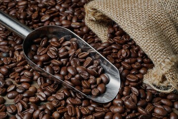 Roasted coffee beans on a scoop and in a sack.