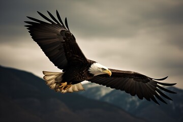 Fototapeta na wymiar A majestic bald eagle soaring high in the sky with its wings spread wide - Generative AI