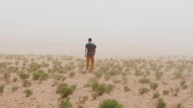 Man goes across the steppe into a dusty cloud. Back view. Concept of loneliness and crisis. Slow motion