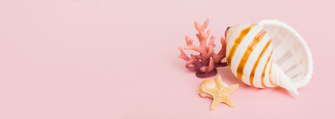 Beach seashells on colored background. Mock up with copy space