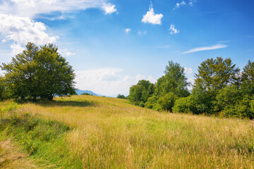 Fototapeta na wymiar carpathian countryside with forested hills. green grassy meadow on the hills. distant ridge beneath a sky with clouds on a sunny afternoon in summer