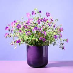 Naklejka na ściany i meble Beautiful purple bouquet