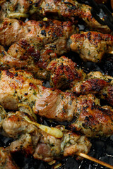 grilled meat on the grill