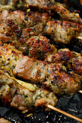 grilled meat on the grill