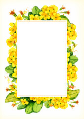 watercolor white frame with yellow primrose evening flowers, hand drawn botanical illustration with spring flowers isolated on white background