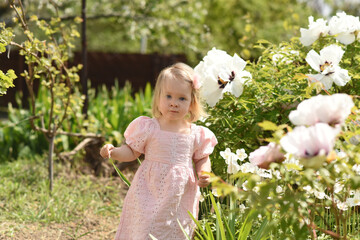 little child in the park. little girl in a field of flowers