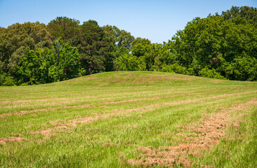 Fototapeta na wymiar Emerald Mound in Mississippi on a Clear Day