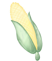 Obraz premium corn