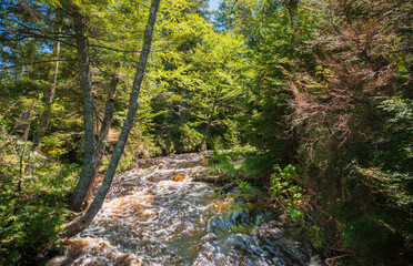 Rushing River at Pictured Rocks