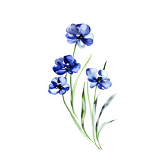 Blue flower. Watercolor floral illustration. Floral decorative element. Vector floral background.
