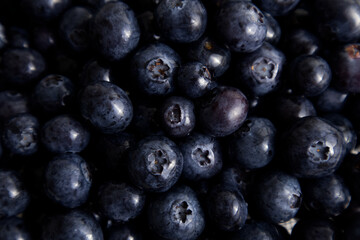 Freshly picked blueberries close-up top view
