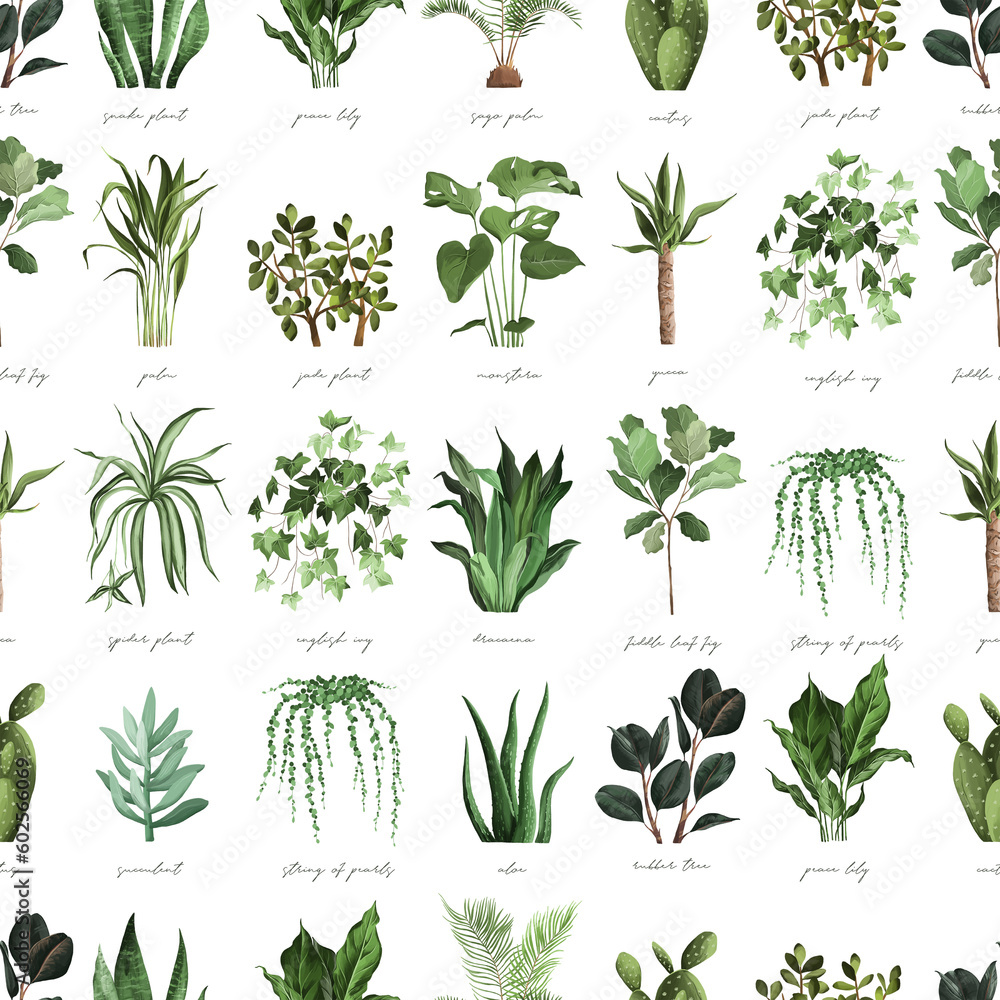 Wall mural plant lover floral botanical home decor clipart planters seamless pattern