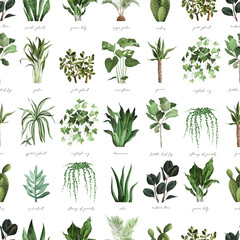 Fototapeta na wymiar plant lover floral botanical home decor clipart planters seamless pattern