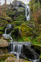 waterfall in the forest