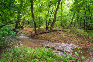 River at George Washington Carver National Monument