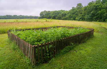 Garden at George Washington Carver National Monument