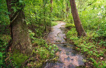 River at George Washington Carver National Monument