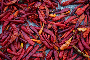Fototapeta premium Dried red hot chili peppers