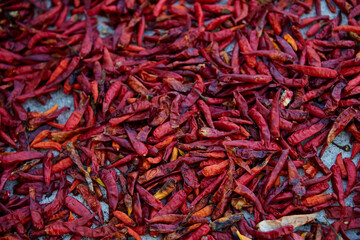 Dried red hot chili peppers