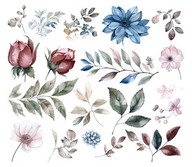 Set of watercolor flowers leaves and twigs on a white background
